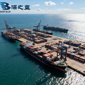 وكيل شحن بحري من الباب إلى الباب من الصين إلى أيرلندا والولايات المتحدة وكندا وأستراليا وأوروبا، وكيل شحن بحري للحاويات الكاملة والجزئية - Product Image 4