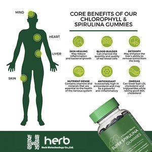 Gomitas de Espirulina OEM/ODM, con Vitamina B12, Vitamina B3 y Antioxidantes, Veganas y Sin Gluten - Product Image 2