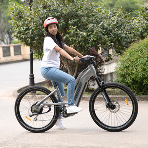 Bicicleta Cruiser 2023, Nuevo Modelo, 48V500W, Bicicleta Eléctrica Urbana para Mujer, Bicicletas Eléctricas Chinas Inigualables para Mujer - Product Image 4