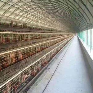 <span class=keywords><strong>Serre</strong></span> agricole rideau de volaille 150gsm tissé poly bâche - Product Image 5