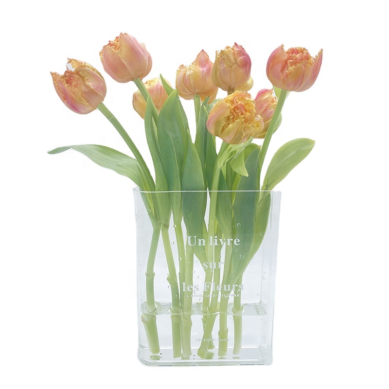 Уникальные скандинавские Роскошные прозрачные акриловые вазы с изображением таинственности роста в виде книги