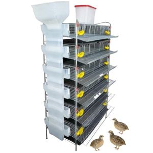 Gaiola Avançada para Produção de Codornas com Alimentação Integrada e Transportador de Ovos - Product Image 4