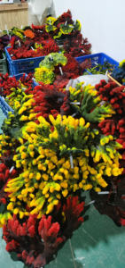 Koop Bulk Voor Wederverkoop Hars Kunstmatig Koraalrif - Product Image 2