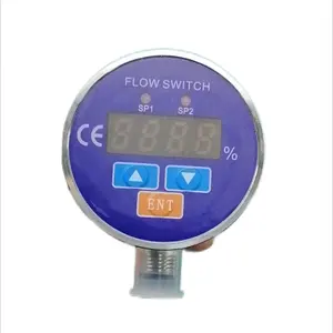 Relay Output Liquid Thermal Flow Switch
