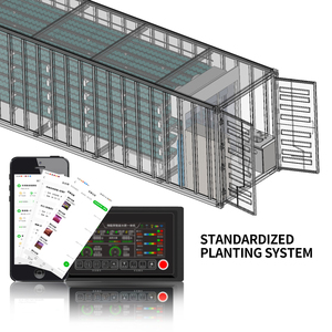 Bộ hoàn chỉnh các thùng chứa trồng cây thủy canh cho rau nhà kính đã sẵn sàng để trồng khi giao hàng - Product Image 5