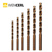 WENCERL Foret hélicoïdal extra long en acier rapide Cobalt M35 de 0,3 mm, 0,5 mm, 1 mm, 2 mm, 3 mm à 13 mm pour outils électriques