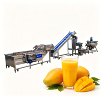 Équipement complet de transformation de jus de fruits avec système de remplissage de bouteilles PET et d'emballage aseptique pour l'exportation