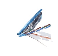 Câble réseau Ethernet CAT5 double blindage 100m PVC Cuivre sans oxygène Paire torsadée à huit conducteurs Surveillance domestique Haut débit