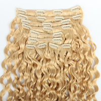 Prix d'usine 2025, cheveux humains vierges russes de qualité 12A, 100% naturels, extensions de cheveux à clips avec toutes les couleurs