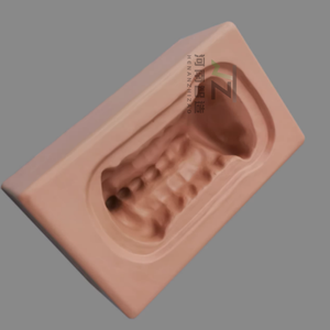 Modèle <span class=keywords><strong>de</strong></span> vertèbre cervicale <span class=keywords><strong>de</strong></span> C1 à C7: os simulé, os artificiel, support <span class=keywords><strong>de</strong></span> base d'os <span class=keywords><strong>de</strong></span> pratique - Product Image 2