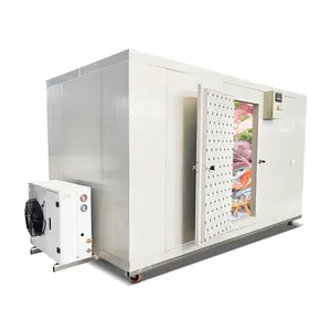 Wall mounted self-contained Walk In Cooler Refrigeration Unit Cold Storage Room Monoblock Unit