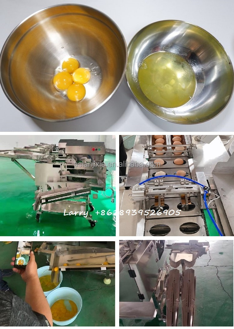 Thực phẩm cấp Trứng phá vỡ máy tách lòng đỏ trứng trắng Máy tách thép không gỉ Dây chuyền Làm rửa trứng