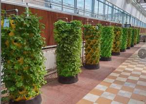 Invernaderos Agrícolas, Agricultura Vertical, Sistema Aeropónico, Torre de Cultivo Hidropónico, Sistema Hidropónico Vertical para Jardín - Product Image 5