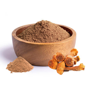 Extracto de hongo <span class=keywords><strong>Agaricus</strong></span> Blazei Murrill en polvo al por mayor - Product Image 4