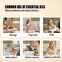 Minyak Biji Bunga Matahari Murni untuk Kosmetik & Pijat Perawatan Kulit Perawatan Rambut Memasak Kaya Vitamin E Grosir Pabrik Label Pribadi