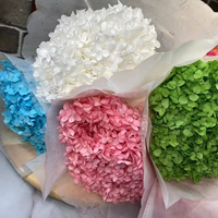 Dekorasi Rumah Pernikahan Buket Bunga Kering Bunga Alami Mudah Diawetkan Hydrangea