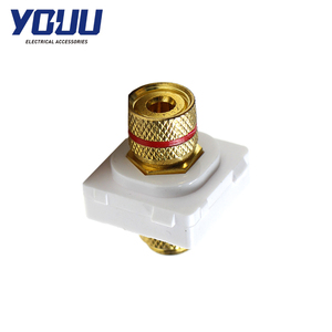 YOUU SAA per Standard AS/NZS, Meccanismo per Altoparlanti, Placca a Muro, Componenti in Rame, Colore Personalizzato, Modello U1708 per - Product Image 5