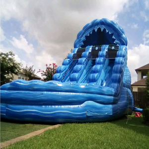 Tobogán Acuático Inflable de PVC Comercial Resistente al Fuego de 8x4x6m y Casa de Brinco Colorida para Adultos y Niños - Product Image 1