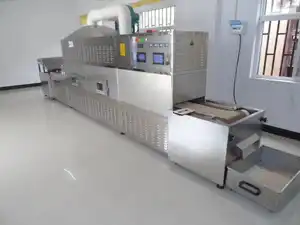 Stainless Steel Easy To Operate Conveyor Belt Type Microwave Pulp Egg Tray Tunnel Dryer Microwave Ovens