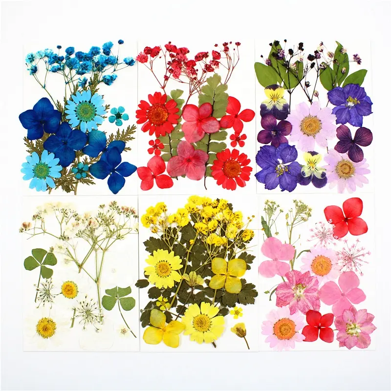 M026 Mixed Pack Iphone Case Jewelry Necklace 12PCS Dry Pressed Flower Art Real Natural Dried Pressed Flowers For Crafts DIY