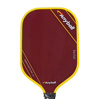 Raquette de pickleball TR008 Anyball de haute qualité en fibre de carbone Kevlar, performance de niveau professionnel, durable, légère, pour le divertissement