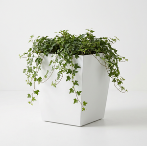 Fioriera per Erbe e Verdure in Acciaio Corten, Kit per Aiuole Rialzate, Contenitore Modulare per Piante, Facile Montaggio per Giardino - Product Image 1