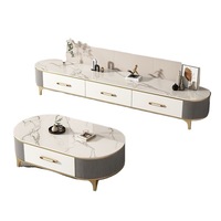 Ensemble de meuble TV et table basse, meubles de maison, bois massif, luxe léger, style moderne minimaliste, style européen américain, salon, petit