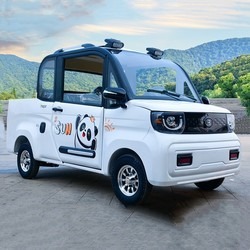 Proveedor Chino de Autos Eléctricos Mini de 4 Ruedas y 1500w Económicos para Adultos y Personas Mayores - Product Image 6