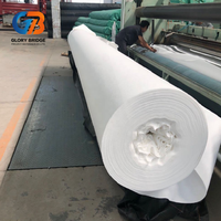 Géotextile en PET à longs fibres non tissées, résistant aux perforations (plus de 2,5 kN CBR), utilisé pour le drainage souterrain et la séparation des couches de sol dans les pavés.