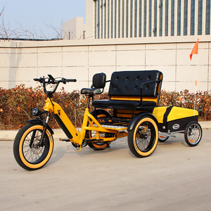 Tricycle électrique familial à 3 roues avec pneus larges de 20 pouces, transmission arrière, fourche avant amortie, idéal pour le transport de marchandises ou comme <span class=keywords><strong>taxi</strong></span>. - Product Image 6