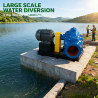 Pompe d'irrigation à haut débit MODO, durable, à haut débit, pompe à eau industrielle, pompe à double aspiration