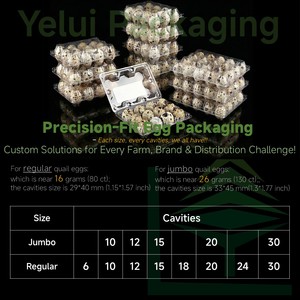 20 gros œufs de <span class=keywords><strong>caille</strong></span> <span class=keywords><strong>jumbo</strong></span> en carton plastique PET en gros à prix d'usine, œufs de pigeon - Product Image 2