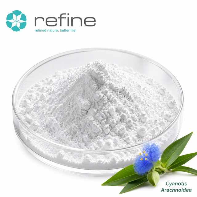 Wholesale Price 98% Cyanotis Arachnoidea Extract Pure Beta Ecdysterone Powder Vacuum Packed Plastic Container Food Grade