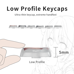 <strong>XVX</strong> <strong>Keycaps</strong> Japanese Anime Theme Low Profile Side-Printed Legend <strong>Keycaps</strong> Set 118-keys Mechanical Keyboard <strong>Keycaps</strong> - Product Image 4