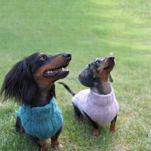 Qiqu – fournitures pour animaux de compagnie, nouveau design personnalisé, pull pour chien Dachshund, vêtements pour animaux de compagnie, petits tricots, doxie wiener - Product Image 6