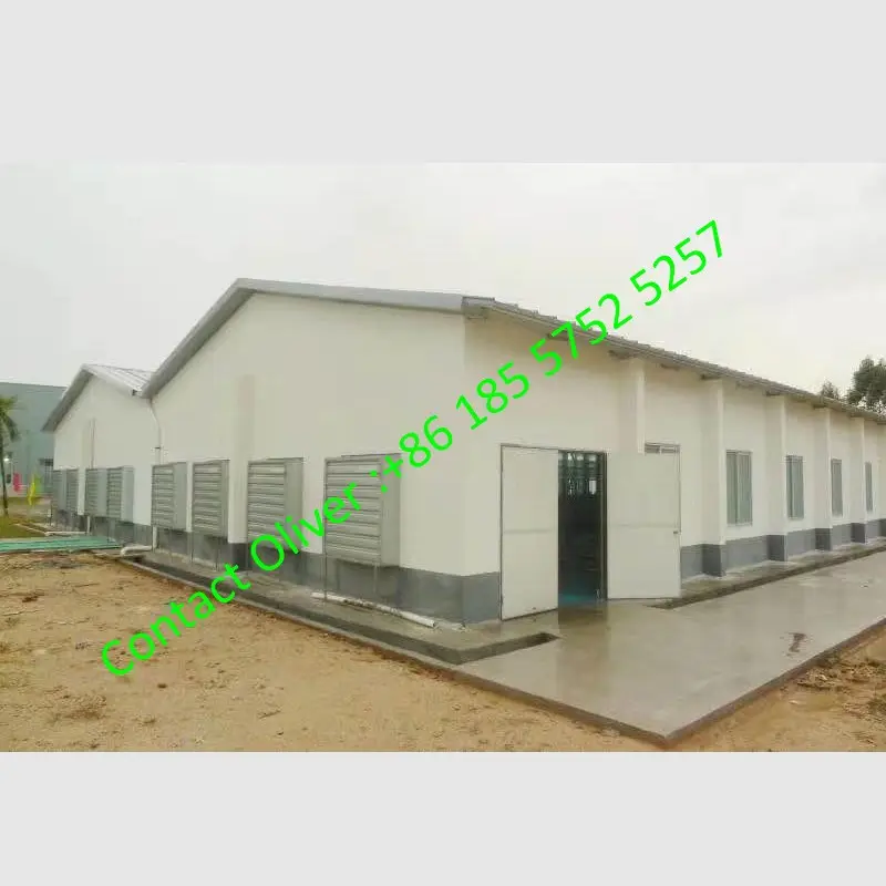 Quail / Duck Or Chicken Egg House Design Laying Hen Chicken Cage/Steel Structure Poultry Farm House Design Prefab Chicken Farm