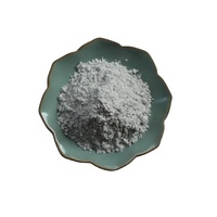 Poudre d'alumine nano résistante à l'usure à haute température AL2O3 poudre conductrice de chaleur réactive de peinture d'oxyde d'aluminium