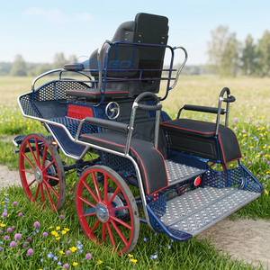 Carroza de caballos para maratón, carroza de poni antigua, carroza de caballos para maratón para caballos de tracción turísticos - Product Image 1