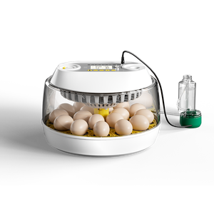 2026 कारखाने प्रत्यक्ष आपूर्ति नए डिजाइन 18 चिकन अंडे इनक्यूबेटर और 79 क्वेल अंडे इनक्यूबेटर डिजिटल तापमान नियंत्रण - Product Image 2