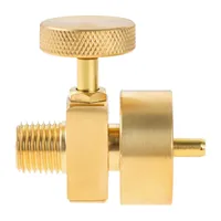 Adaptateur de valve pour bouteille de gaz propane 1LB avec filetage mâle 1/4"NPT et femelle M8*1 pour barbecue, brasero et réchaud DH (1 pièce)