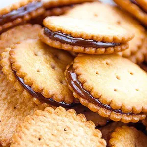 Línea de producción de galletas rellenadas con Centro automático, máquina de inyección de Chocolate y galletas, 500 kg por hora