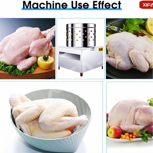 Machine à plumer les cailles et les poulets à haute productivité pour l'équipement d'abattage de volailles, moteur 220/110V - Product Image 5
