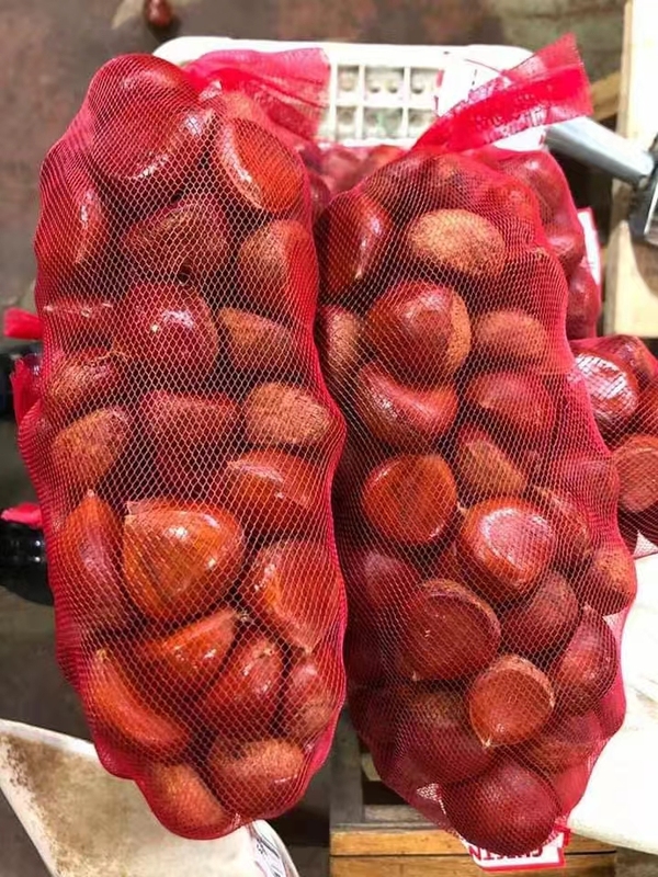 New Crop Chestnuts Hot Sell Nut