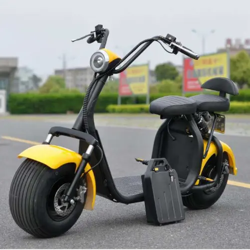 Ucuz citycoco elektrikli scooter 1500W çiftli koltuklar/yağ lastikleri