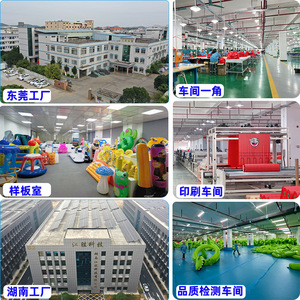 <b>Inflatable</b> <b>Water</b> <b>Slide</b> Custom Size Outdoor Garden Play For Home Use PVC Material - Product Image 4