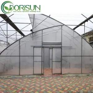 Top Roof Vent Tropical Greenhouse Agriculture Hot Dip Galvanized Steel Frame Sawtooth Green House