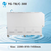 Système de purification d'eau miniature YONG GUAN YG-TB/C-300 300L/h, système de traitement complet, filtration par membrane céramique, 1,8 kW