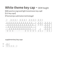 Mechanical Keyboard Keycap Wholesale Keyboard Keycaps Subbank Custom PBT White Durable Iridescent Customized Size Plastic Keypad