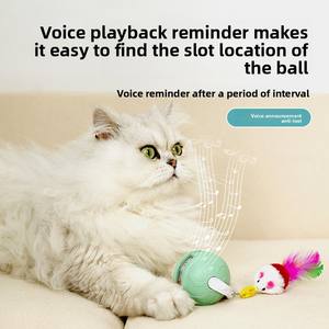 מקל חתול לייזר חכם אינטראקטיבי-מקל ידידותי לסביבה סימולציה אוטומטית של צעצוע פלסטיק צעצוע לחתולים לשימוש חוצה גבולות - Product Image 4