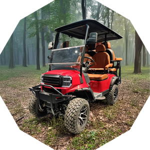 รถกอล์ฟคลับไฟฟ้าสำหรับเที่ยวชมสถานที่7500W 6ที่นั่งรุ่นใหม่ขายดี - Product Image 4